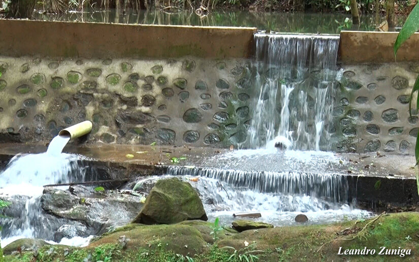 AGUA1